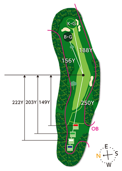 In Course 12th hole