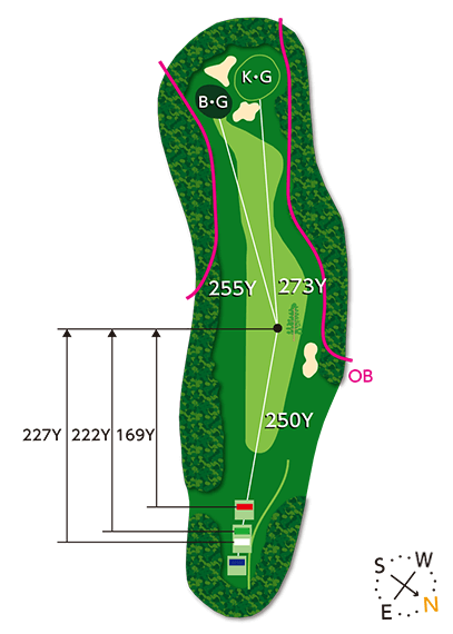 In Course 17th hole